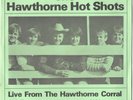 The Beach Boys (The Hawthorne Hotshots) Rare EP - Live From The Hawthorne Corral