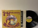 Jimi Hendrix 'Are You Experienced' 1967 Tri-Color 1st press Terre Haute lp VG/VG