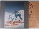 Tortoise & Bonnie Prince Billy: The Brave and the Bold  Vinyl/ LP -- Excellent