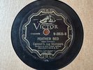 78Rpm Blues, Gus Cannon's Jug Stompers 'Feather Bed / Rileys Wagon' US Victor E