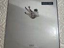 Daniel Caesar Pilgrim’s Paradise Vinyl Secondtrack Exclusive 482/1500 IN HAND