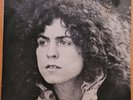 TYRANNOSAURUS REX ‎– A Beard Of Stars
