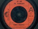 Jay And The Techniques - Number Wonderful, 7