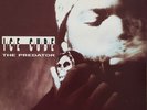 Ice Cube - The Predator, LP, (Vinyl)