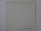 Madonna True Blue Sire P-13310 Japan test press VINYL LP