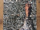 SIOUXSIE AND THE BANSHEES Vinyl Lp 
