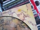 Echo & the bunnymen songs to learn and sing picture disc uk