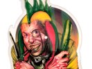 Marillion - Garden Party - shape - Picture Disc