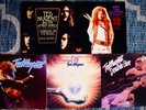 TED NUGENT & THE AMBOY DUKES 5 N Mint Albums Double Live Gonzo Motor City Madman