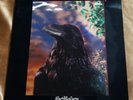 The Stranglers LP The Raven '79 UK Limited 3D Lenticular Cover Vinyl UAG 30262
