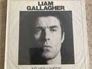 Liam Gallagher As You Were Deluxe Vinyl Box Set Sealed 2017 Uber Rare