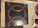 Lateralus by Tool (Record, 2005)