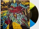 CHON - Grow Vinyl LP, 2023 | Limited Edition Colour | Experimental Math Rock