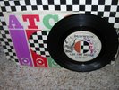 DEL-VETTS-Last Time Around-OR.1966 GARAGE PSYCH FUZZ PROMO 45 SOUNDS GREAT  READ
