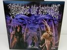 CRADLE OF FILTH 12
