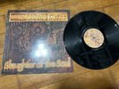 AT THE GATES-slaughter of the soul FIRST PRESS 1995 LP    death metal