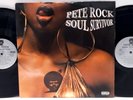 Pete Rock - Soul Survivor 2LP 1998 US ORIG Loud CL Smooth Gang Starr RZA Hip Hop