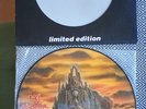 Picture Disc Vinyl In Flames 