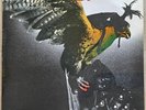 Budgie – In For The Kill LP - 1974 UK MCA A1 / B1  MCF 2546  VG+ Vinyl