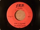 The Shadow Casters Going To The Moon/It'll Be Too Late RARE  Garage 1967 J.R.P.