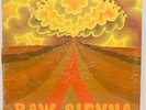Savoy Brown – Raw Sienna - 1970 Parrot PAS 71036 Blues Rock Vinyl LP - VG++/VG