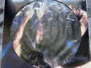Siouxsie & The Banshees - The Scream VINYL LP 2016 PICTURE DISC New
