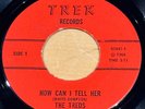 Texas Garage THE TREDS How Can I Tell Her / Hey Baby TREK NM/NM- *VIDEO*