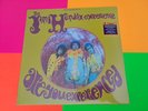 NEW - The Jimi Hendrix Experience Are You Experienced Vinyl Record LP
