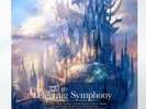 Final Fantasy X Fleeting Symphony Vinyl Record Soundtrack 2 LP Black VGM FF 10