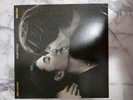 John Lennon and Yoko Ono Double Fantasy (Vinyl) 12