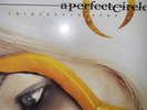A Perfect Circle Vinyl