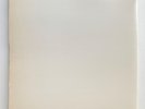 Beatles White Album Original Master Recording 2 LP Vinyl With Poster & Portraits