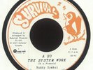 RUDDY SYMBOL - A So The System Work - Vinyl (7
