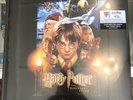 Harry Potter & The Sorcerer's Stone Soundtrack RSD Vinyl (76)