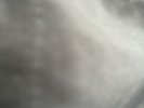 RecStoDay Gorz, NicMas, Blr, ChaXCX, NevEndSto LPs Inc P&p