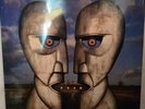 Pink Floyd The Division Bell Lp  SEALED  1994 Columbia Blue Vinyl