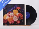 The Teardrop Explodes Wilder A//1 B//2 LP Album Vinyl Record 6359 056 - VG+/EX