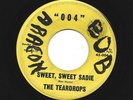 GARAGE PUNK bw/ TEEN 45  -TEARDROPS - SWEET SWEET SADIE - HEAR-  1966  CO. 