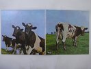 Pink Floyd Atom Heart Mother Harvest EMS-80320 Japan  VINYL LP