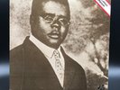 Blind Lemon Jefferson, Double Album, gatefold, LPs, VG+/NM