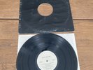 My Life With The Thrill Kill Kult Blue Buddha DJ 12