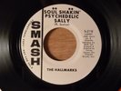 The Hallmarks Soul Shakin Psychedelic Sally/Girl Of My Dreams Promo RARE  Psych
