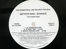 Meteor Man Shanice/It S For You/Motown 3746311 12