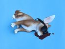 Lo Tom - LP2 INDIE ROCK/ALTERNATIVE Pedro the Lion Starflyer 59 TW Walsh Velour
