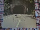 BRAND NEW The Backseat Lovers ‎When We Were Friends Lp- translucent pink variant