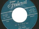 JAMES BROWN - Try Me (I Need You)/Tell Me What I Did Wrong - ORIG. Federal 12337