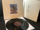 TALK TALK Spirit Of Eden ORIG 1988 1st PRESSING UK Vinyl LP EX+/EX+ inner EX