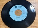 SOUL R&B FUNK GOSPEL 45 GOSPEL HYMNS OF JOY SINNER MAN TURNS TO JESUS MINT