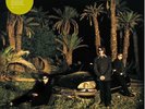 Evergreen by Echo & the Bunnymen (Record, 2022)