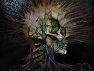 Violence Inherent in the System by Noxis (Record, 2024)